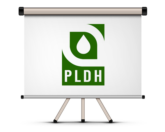 Logo PLDH