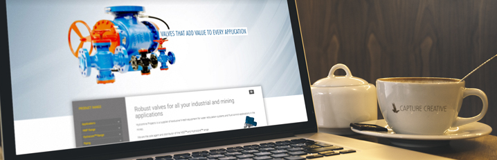 Website Development Website